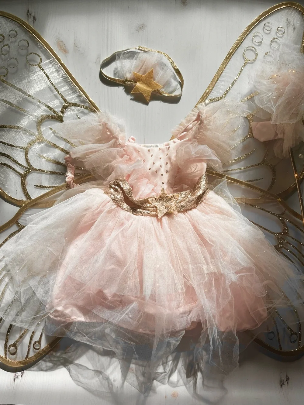 Pottery Barn Fairy Costume Dress with Wings and Wand - Picture 15 of 16